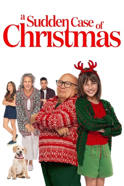 Poster for the movie A Sudden Case of Christmas