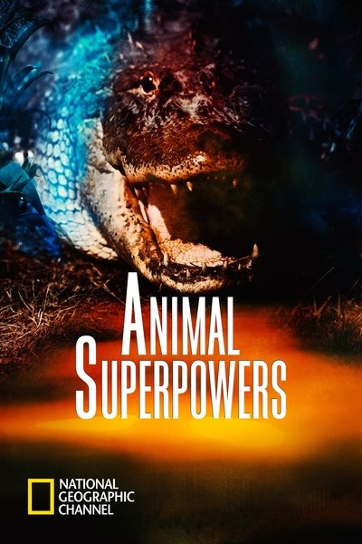 poster for Animal Superpowers