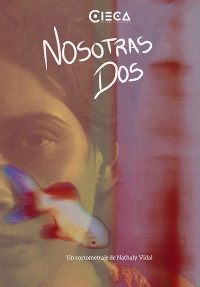 Poster do Filme Nosotras Dos