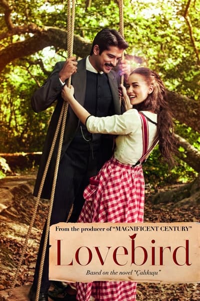 Calikusu (2013)