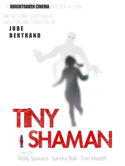 Poster do Filme Tiny Shaman