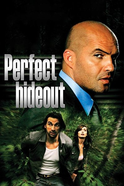 Poster for the movie Perfect Hideout
