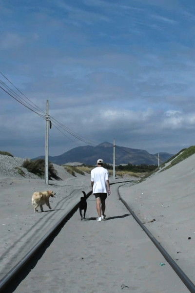 movie poster for In Your Search