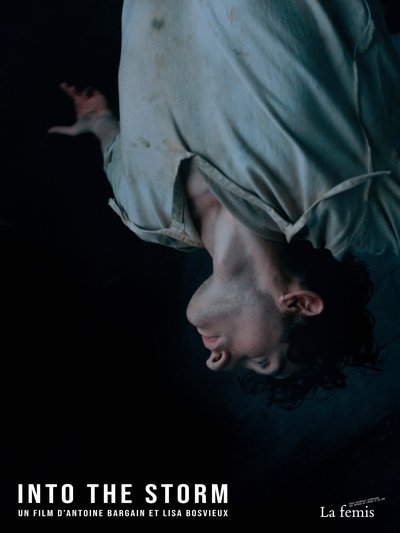 Poster do Filme Into the Storm