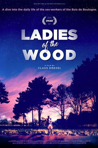 movie poster for Ladies of the Wood