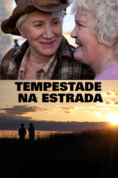Poster do Filme Tempestade na Estrada
