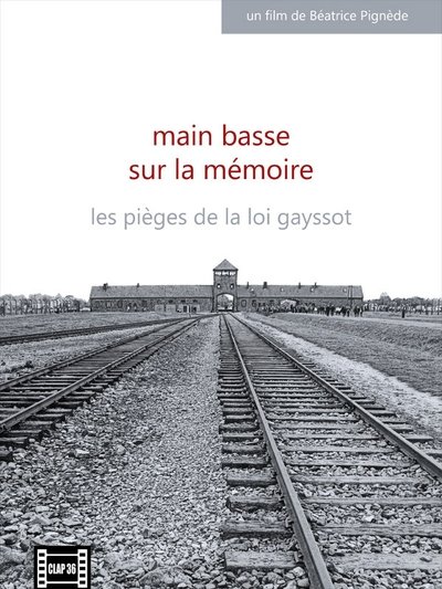 poster Main basse sur la mémoire, les pièges de la loi Gayssot