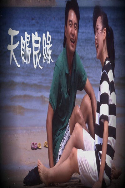 Poster do Filme 天賜良緣