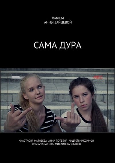 Poster for the movie No, You're Stupid