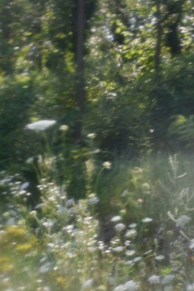 Poster do Filme un pianto