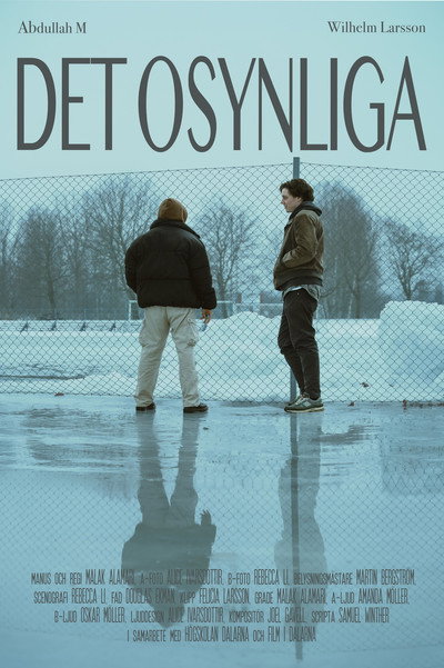 Poster do Filme Det osynliga
