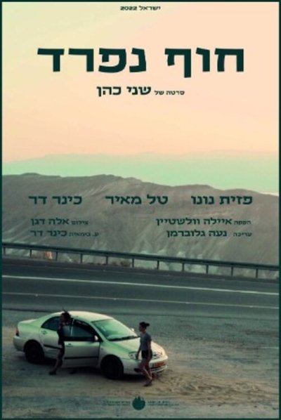 movie poster for Different Shores