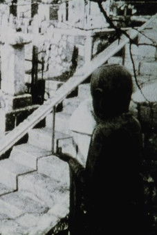 Poster do Filme Jane's Window