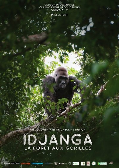 Poster do Filme Idjanga, la forêt aux gorilles