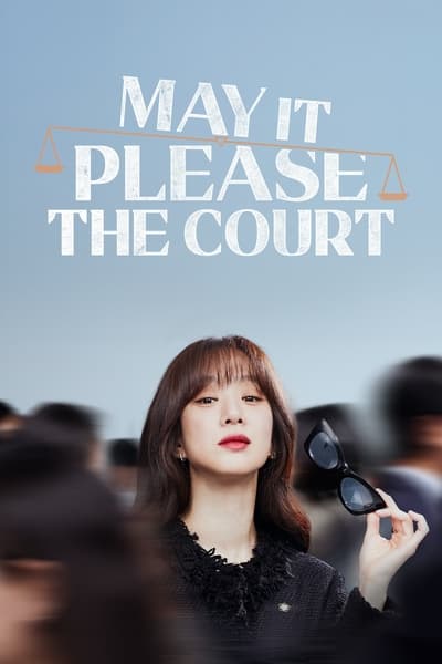 May It Please the Court TV Show Poster