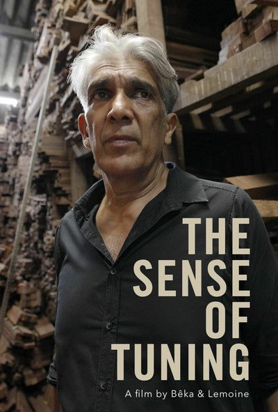 Poster do Filme The Sense of Tuning