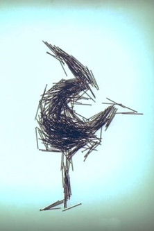 movie poster for Şi totuşi se mişcă