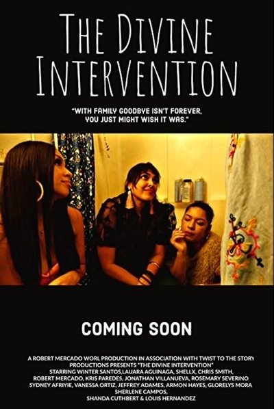 Poster do Filme The Divine Intervention