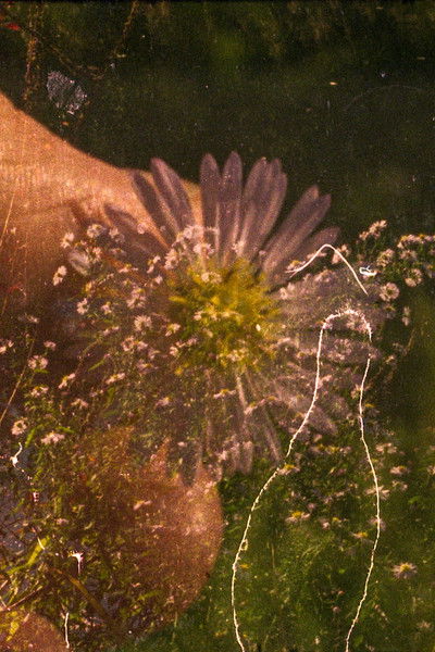 Poster do Filme the ground is bleeding light (indemini – sant’abbondio)