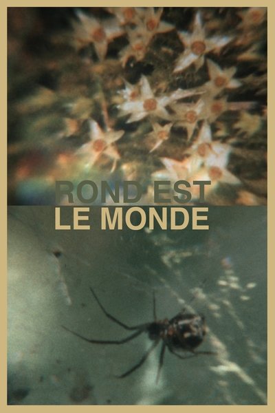 Poster do Filme Rond est le monde