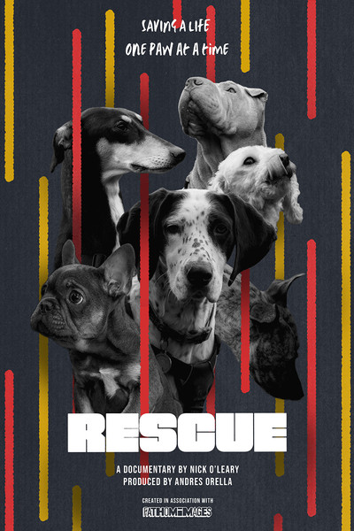Poster do Filme RESCUE
