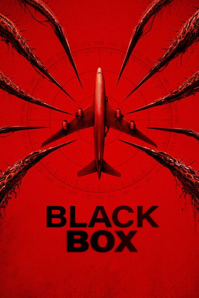 Black Box (Flight 298)