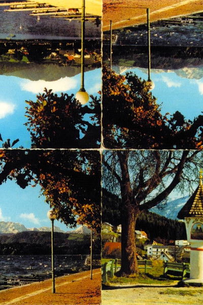 movie poster for Mountain Trip