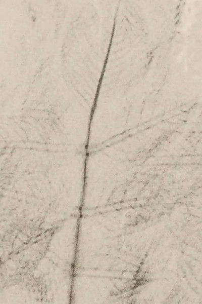 Poster do Filme No A La Tala