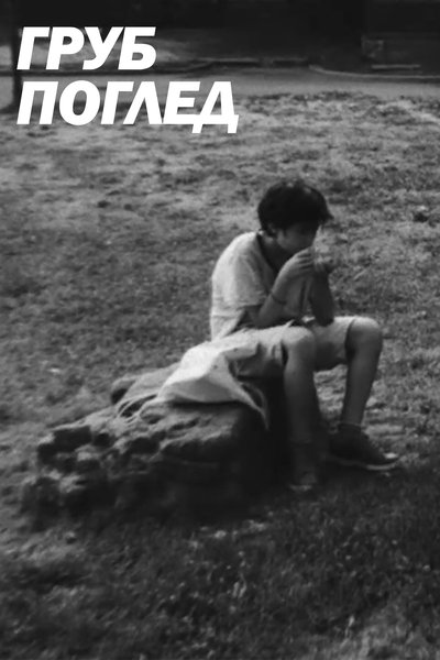 movie poster for Harsh Look