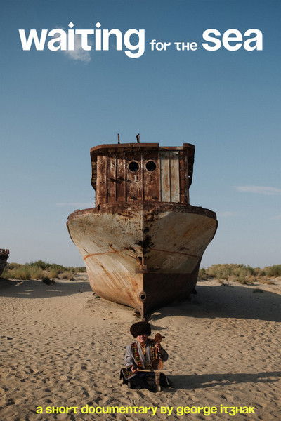 movie poster for Waiting for the Sea