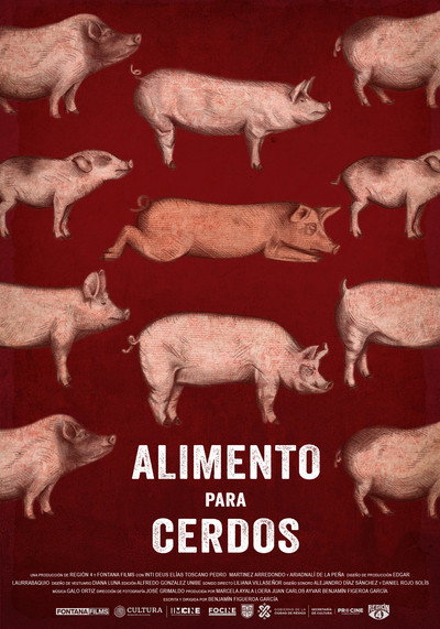 Alimento para cerdos