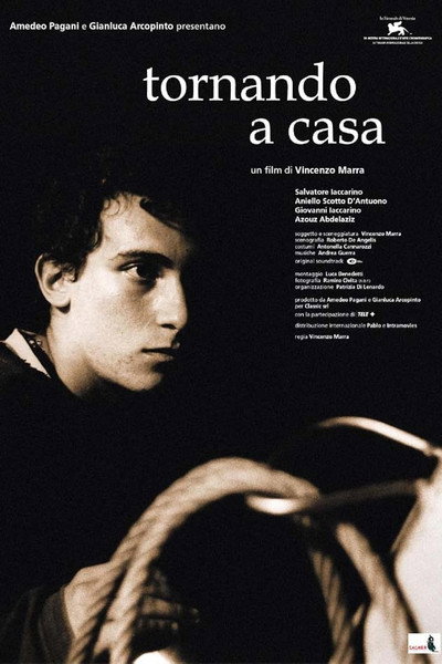 Poster do Filme Tornando a casa