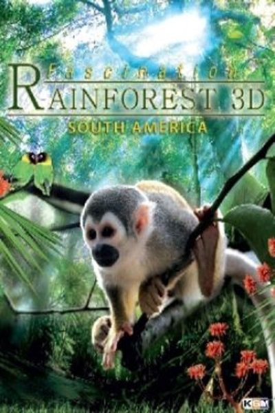Poster do Filme Fascination Rainforest 3D