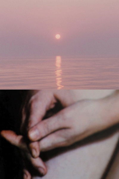 Poster do Filme The Man from Hong Kong