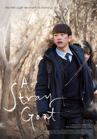 Copos De Nieve // A Stray Goat
