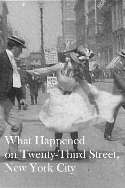 What Happened on Twenty-Third Street, New York City poster What Happened on Twenty-Third Street, New York City