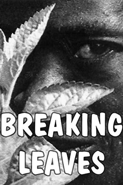 Poster do Filme Breaking Leaves