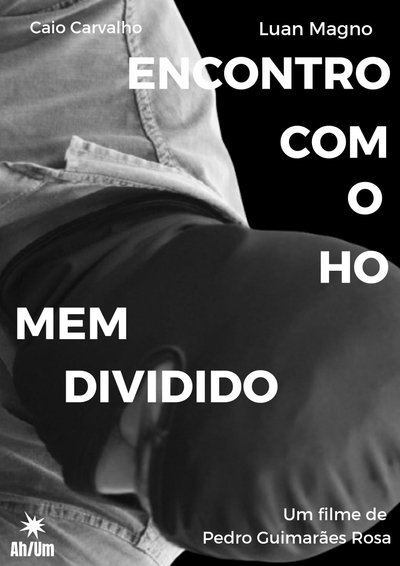 Poster do Filme Encontro com o Homem Dividido