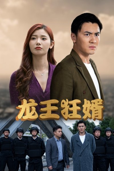 poster for 龙王狂婿