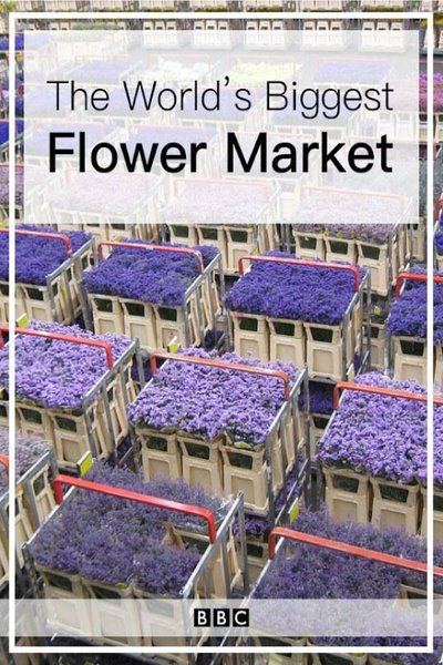 Watch Now!(2016) The World's Biggest Flower Market Full Movie Online 123Movies