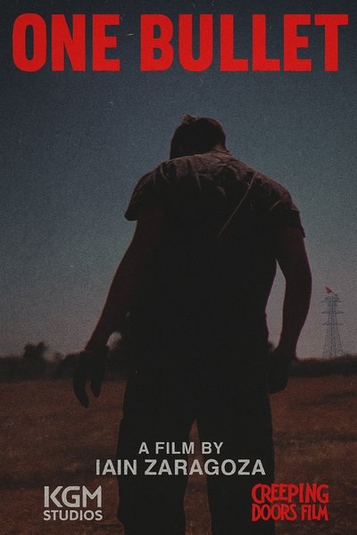 movie poster for One Bullet