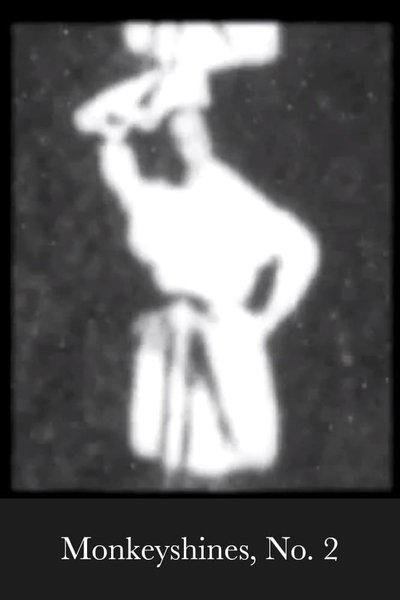 Poster for the movie Monkeyshines, No. 2