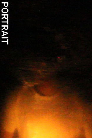 Poster do Filme Portrait