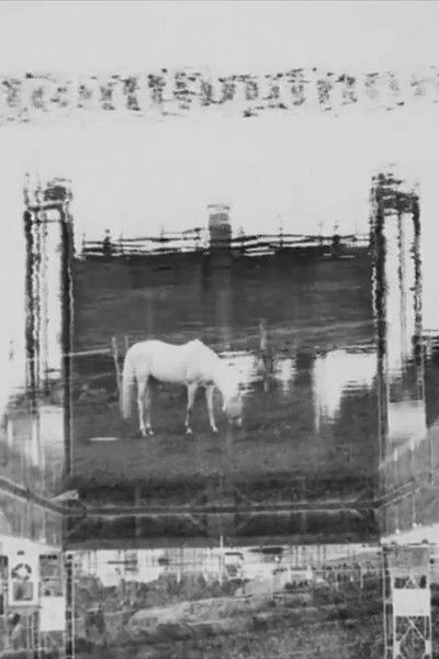 Poster do Filme Over Water