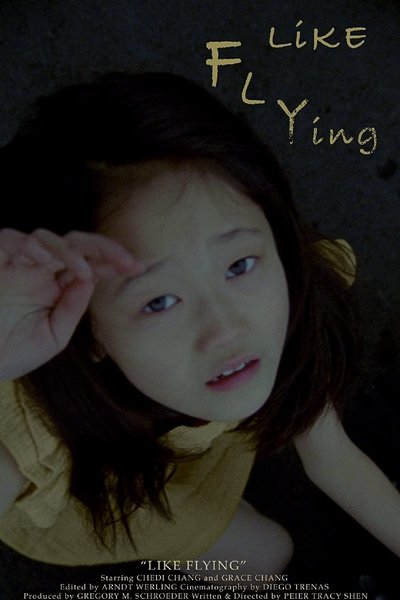 Poster do Filme Like Flying