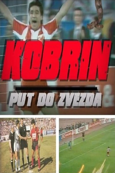 Cobra's Road to Stars