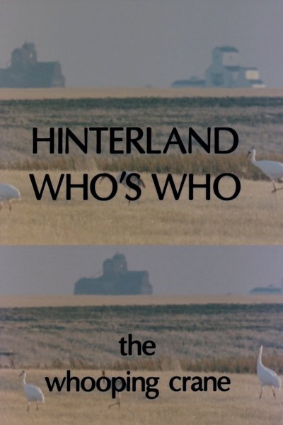 Poster do Filme Hinterland Who's Who: Whooping Crane