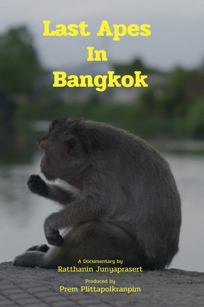 Poster do Filme Last Apes In Bangkok