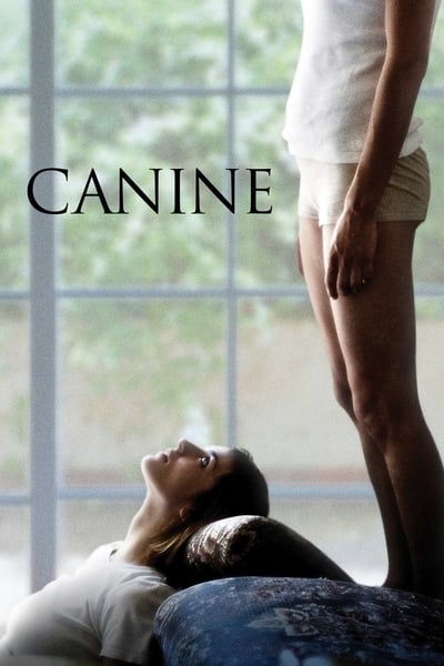 Canine (2009)