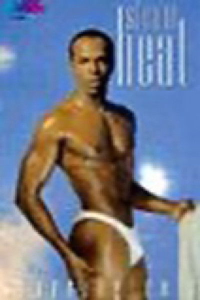 movie poster for Steam Heat